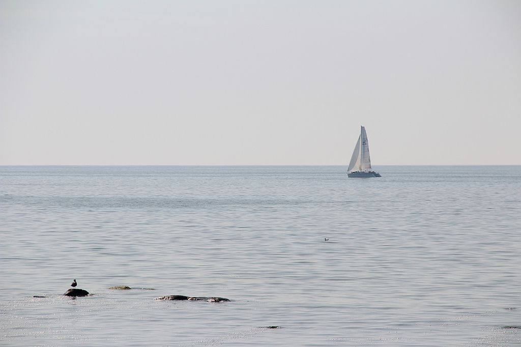 Almedalen2015-1298