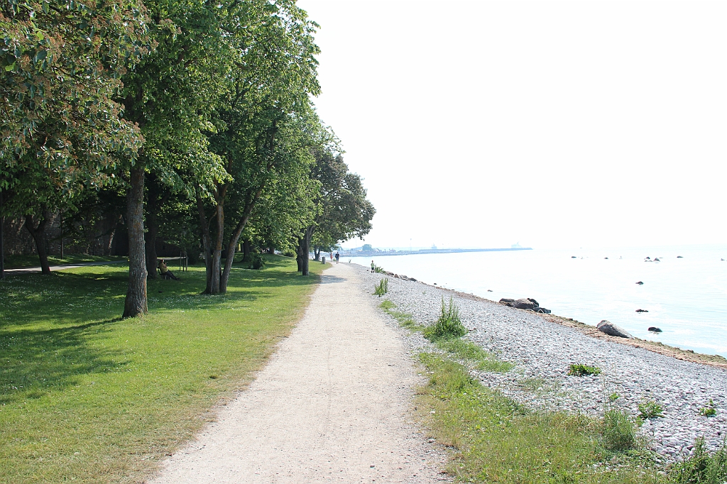 Almedalen2015-1299