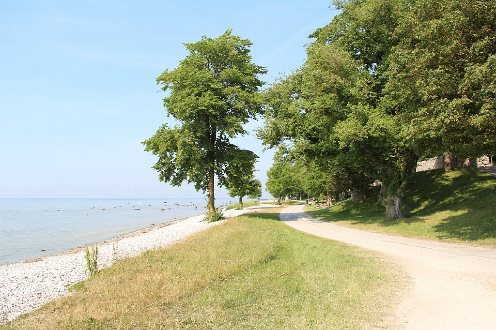 Almedalen2015-1300