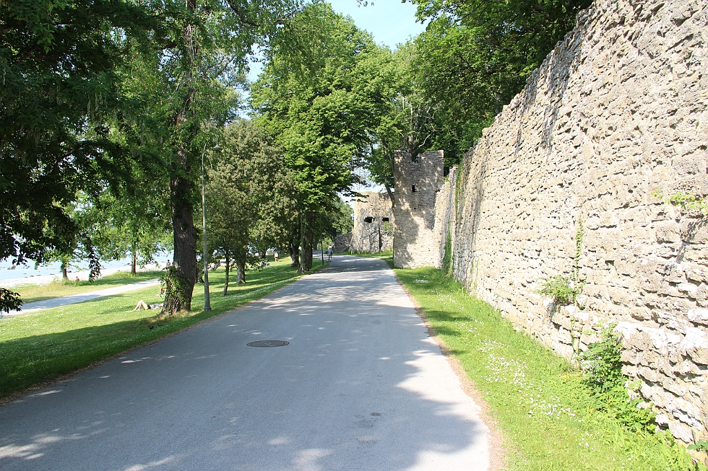 Almedalen2015-1302