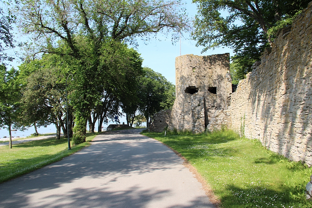 Almedalen2015-1303