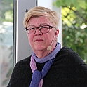 Almedalen2015-0292