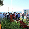 Almedalen2015-0728