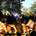 Almedalen2015-0751