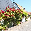 Almedalen2015-1062
