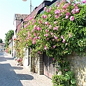 Almedalen2015-1063