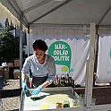 Almedalen2015-1067