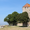 Almedalen2015-1285