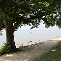 Almedalen2015-1288