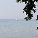Almedalen2015-1292