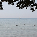 Almedalen2015-1293