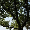 Almedalen2015-1294