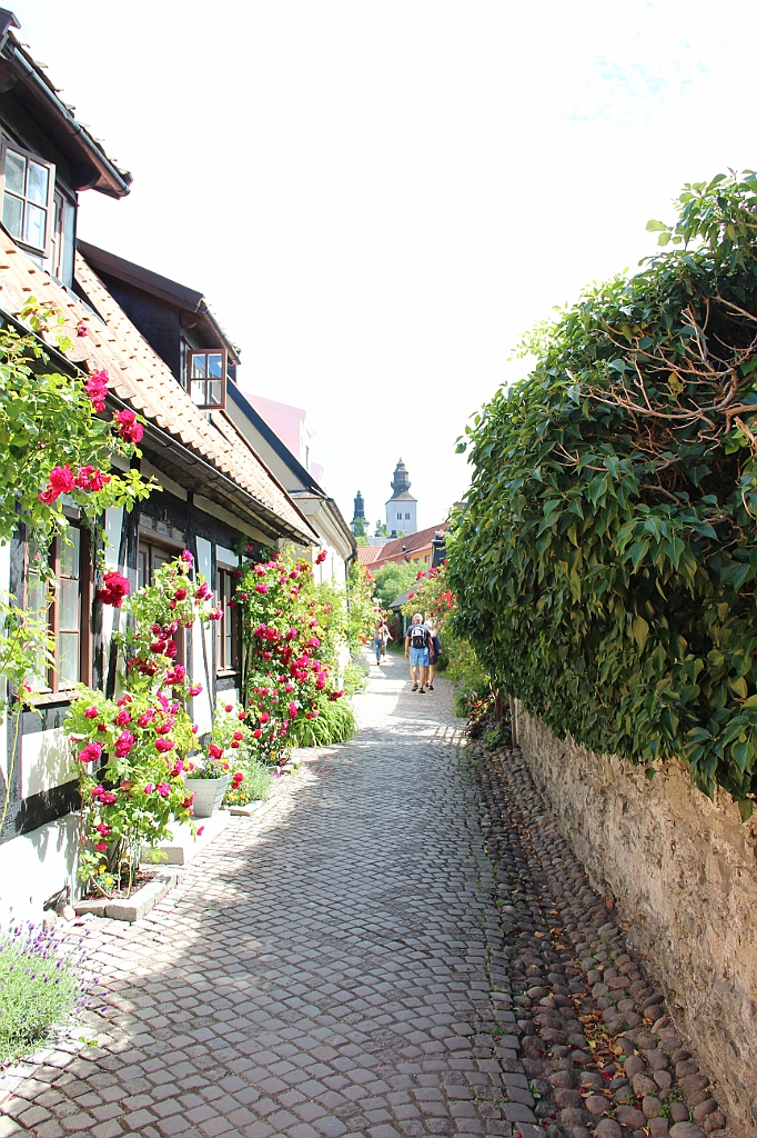 Almedalsveckan2016-471