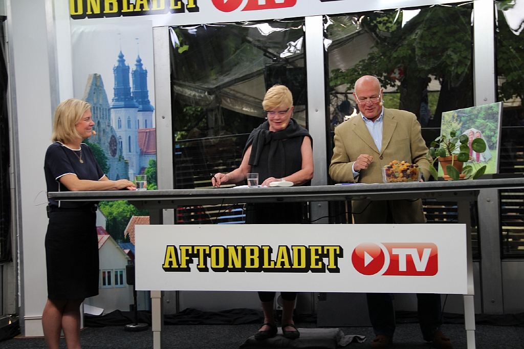 Almedalen2017-132