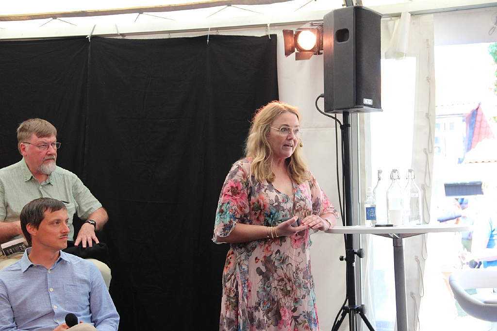 Almedalen2017-36