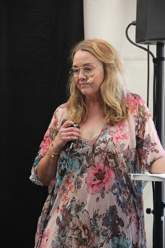 Almedalen2017-42