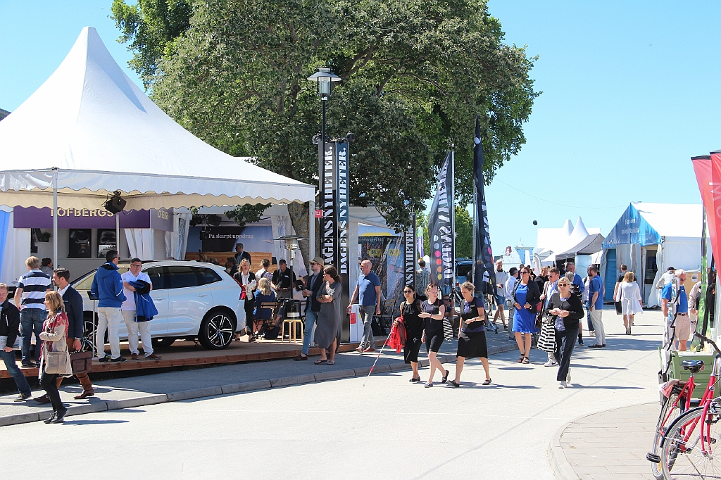Almedalen2017-455
