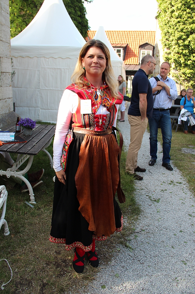 Almedalen2017-46