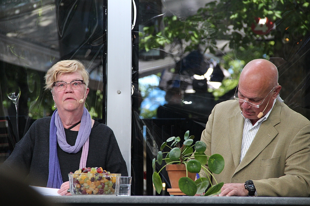Almedalen2017-485