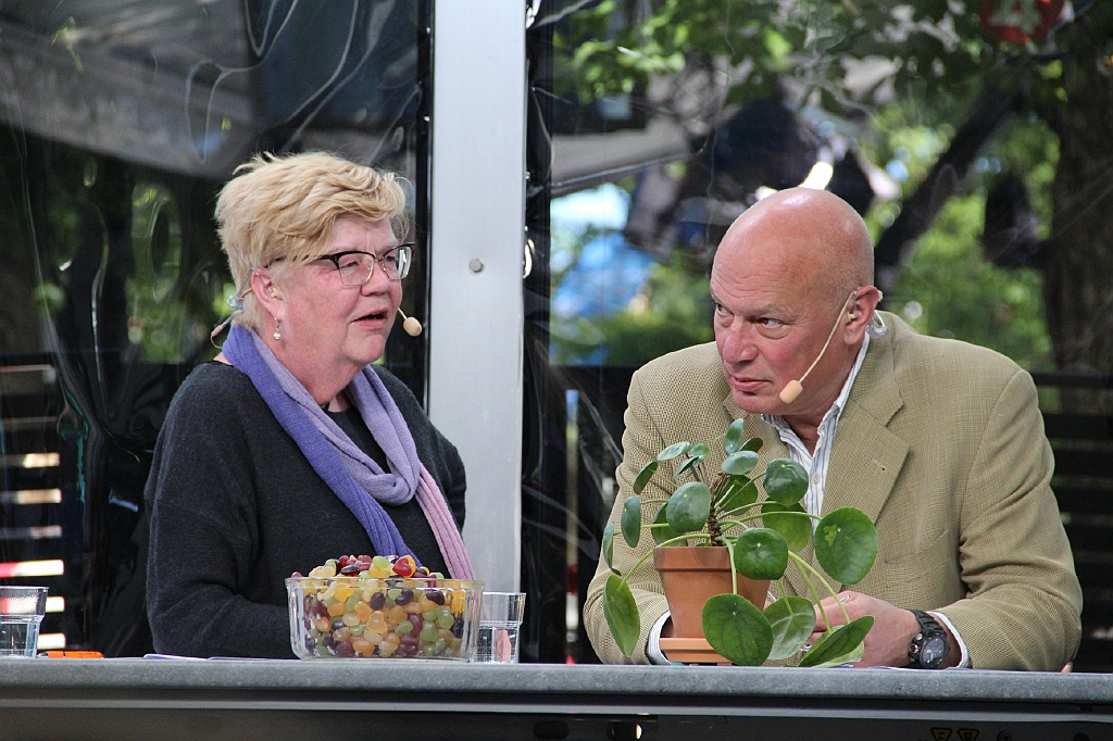 Almedalen2017-486