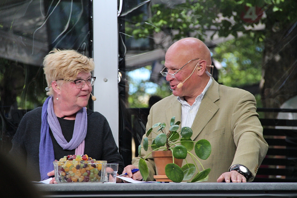 Almedalen2017-494