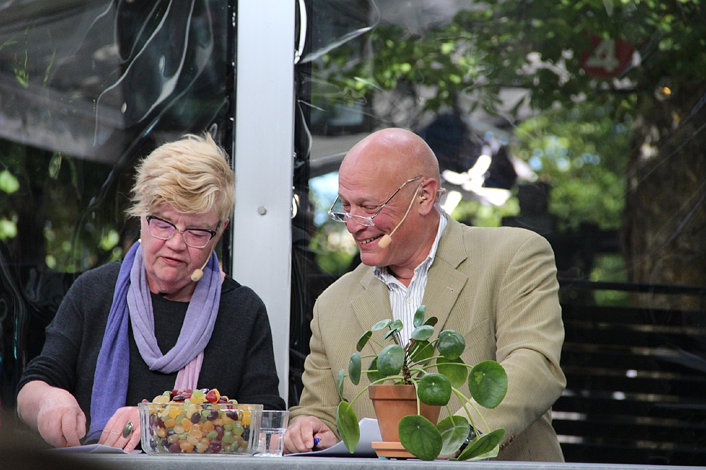 Almedalen2017-497