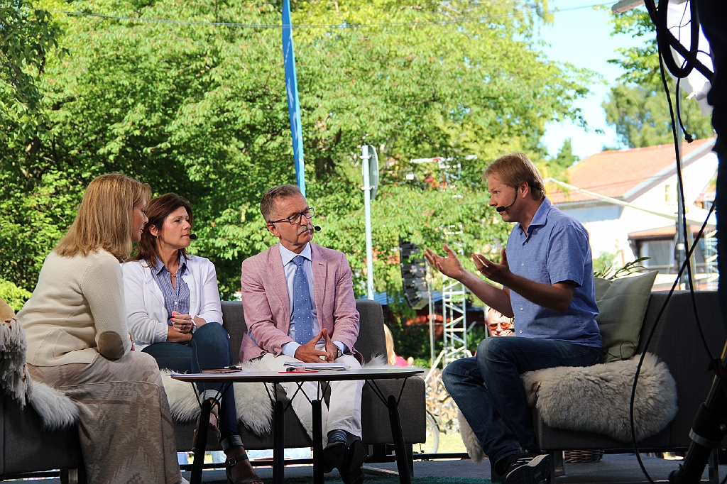 Almedalen2017-500