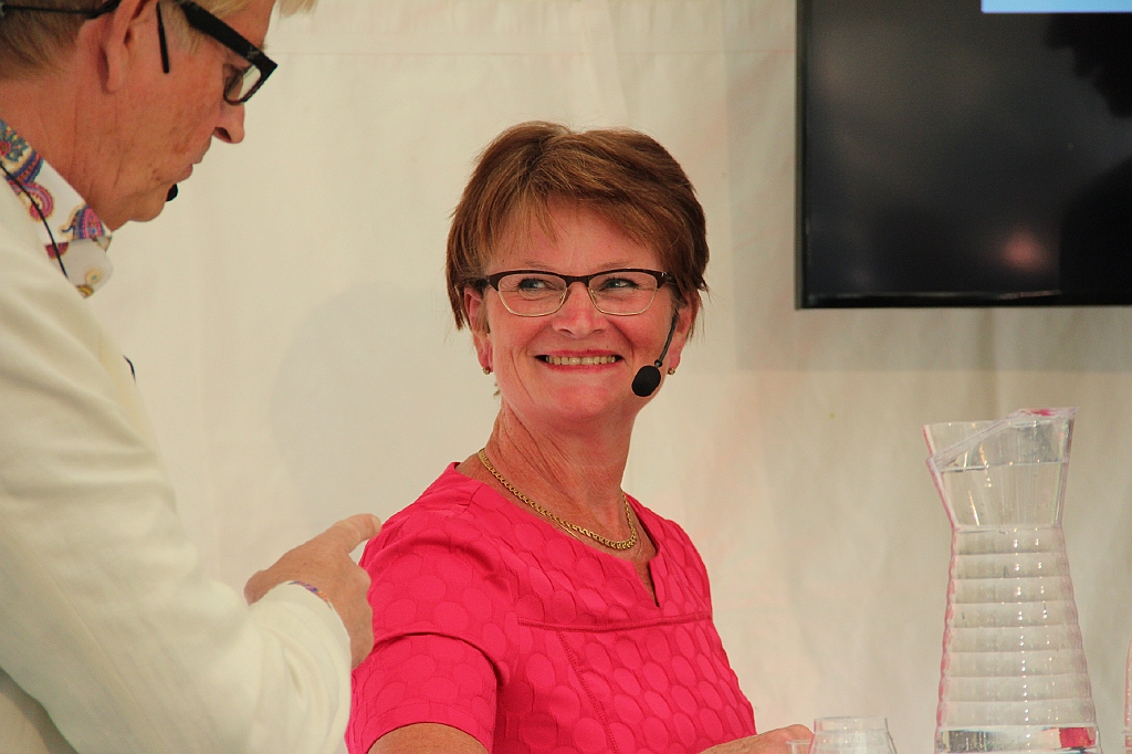 Almedalen2017-517