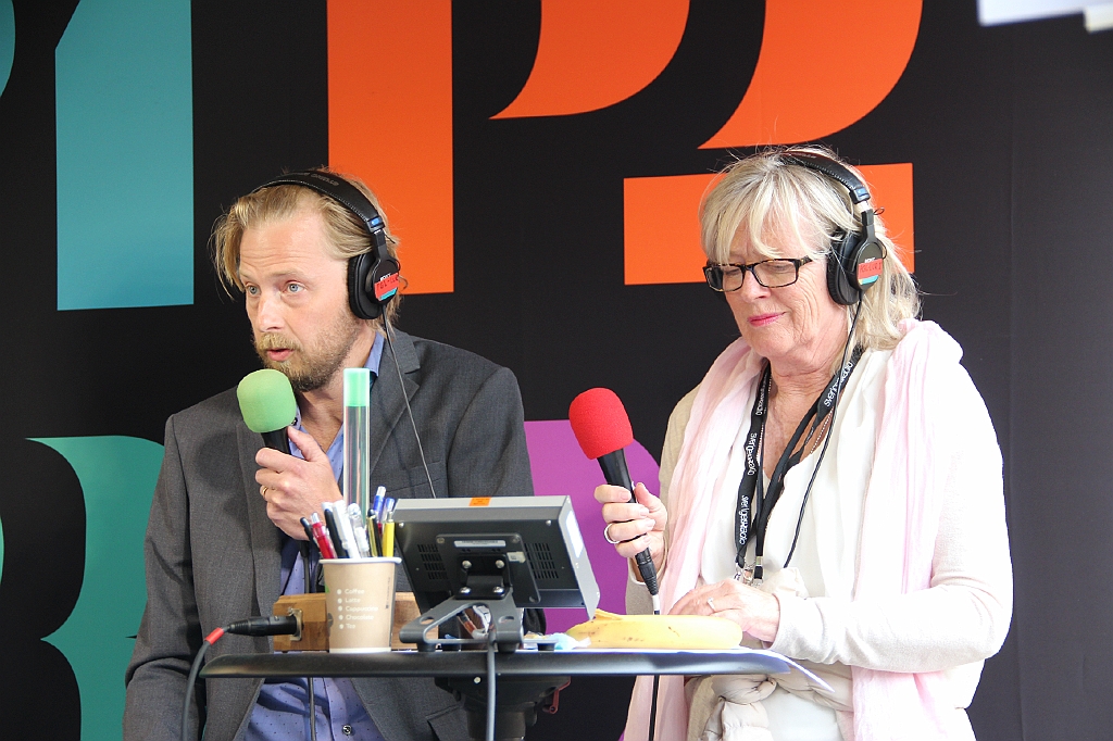 Almedalen2017-573