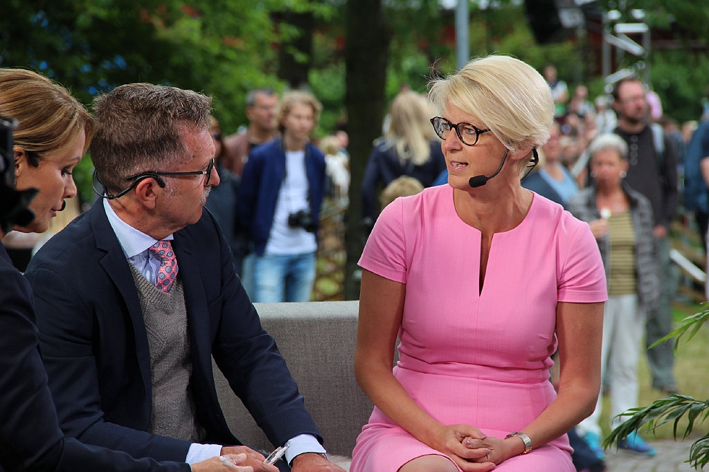 Almedalen2017-720