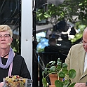 Almedalen2017-485
