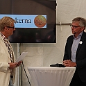 Almedalen2017-505
