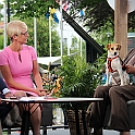 Almedalen2017-723