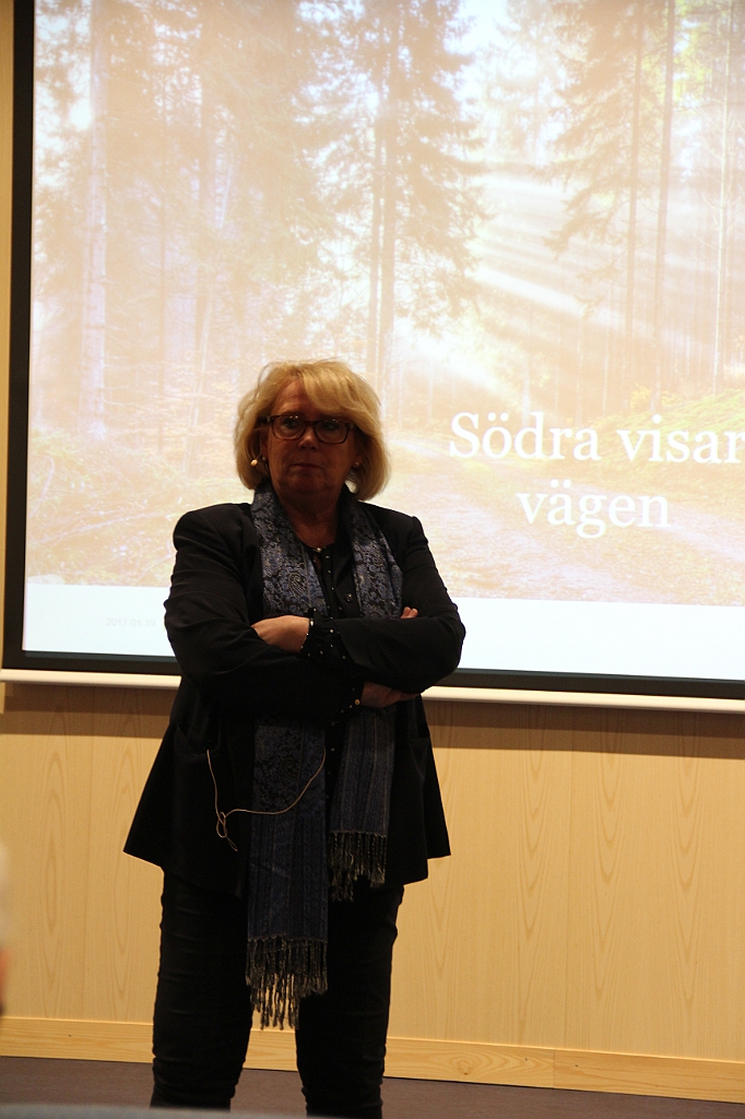 Sodra-15