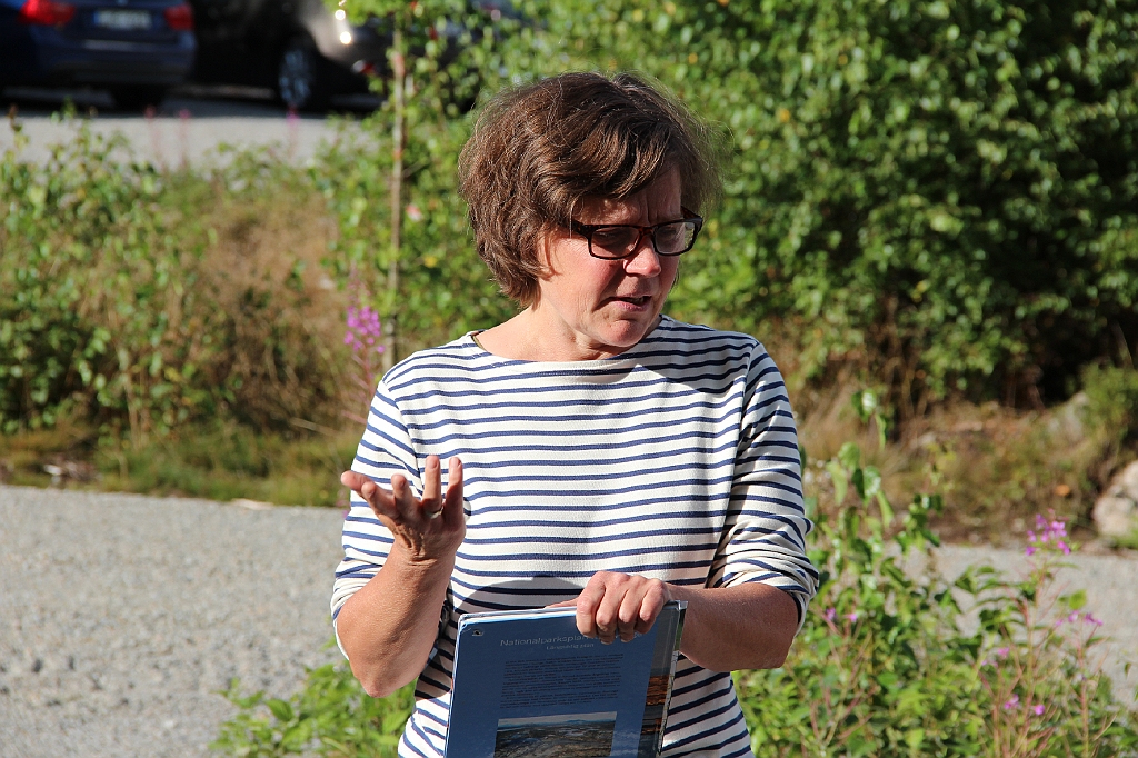 Trollberget.8
