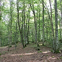 Trollberget.20