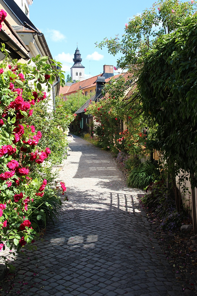 Almedalen2018-003