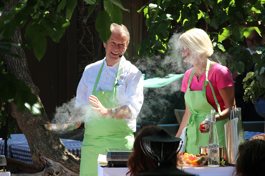 Almedalen2018-246