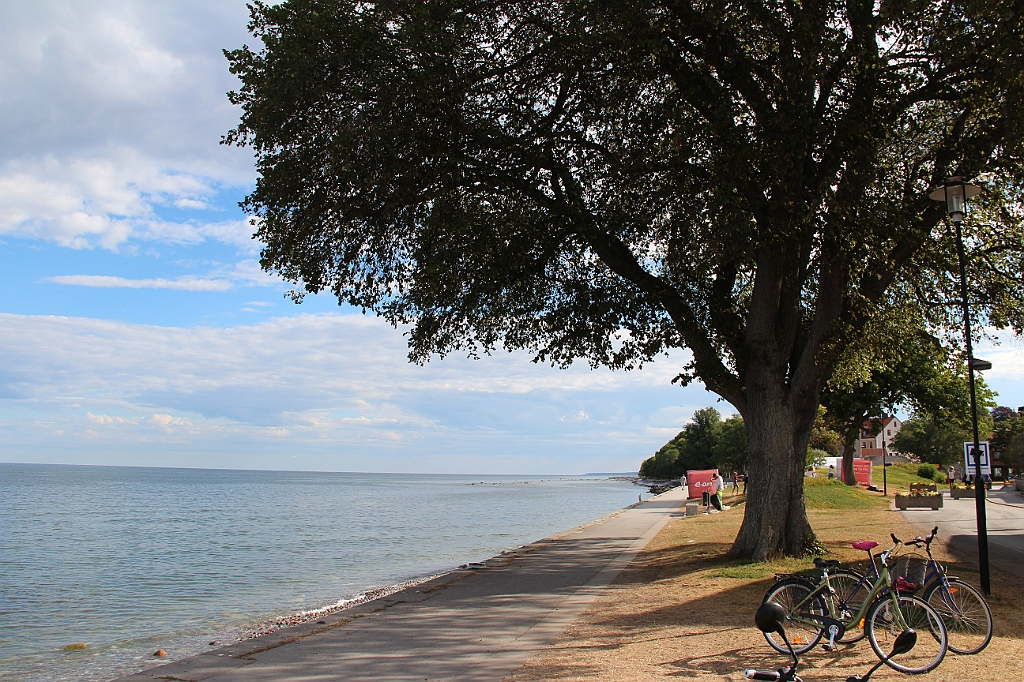 Almedalen2018-449