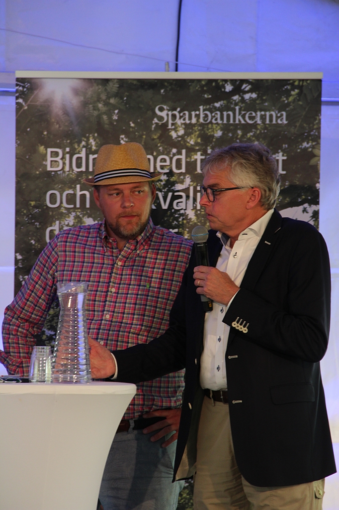 Almedalen2018-580