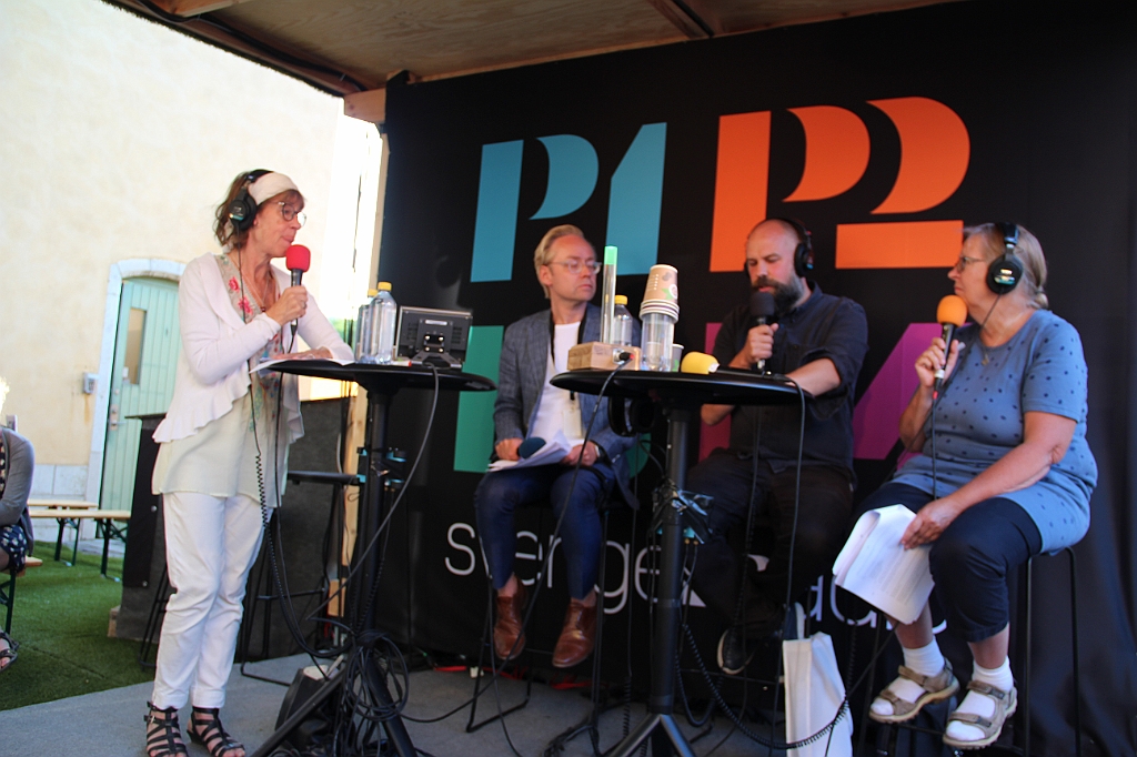 Almedalen2018-800