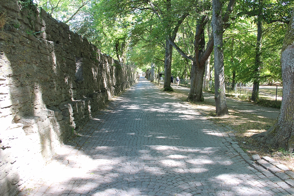 Almedalen2018-918