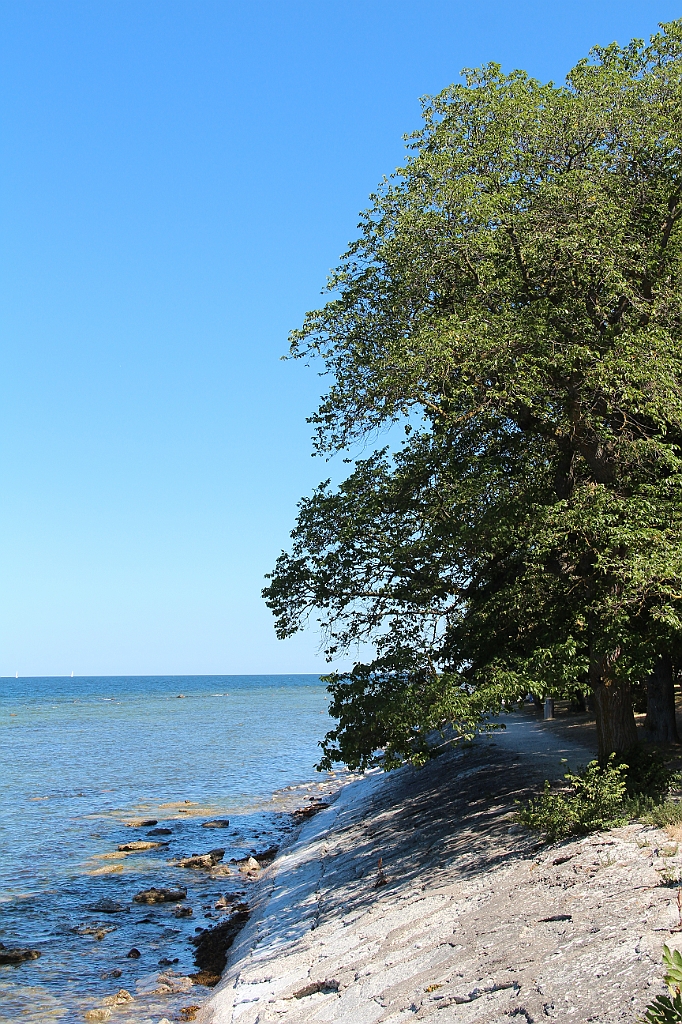 Almedalen2018-920