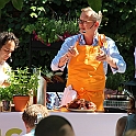 Almedalen2018-245