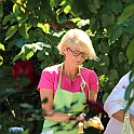Almedalen2018-252