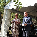 Almedalen2018-548