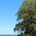 Almedalen2018-920
