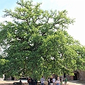 Kronoberg-097