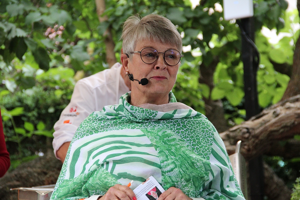 Almedalen2019-130
