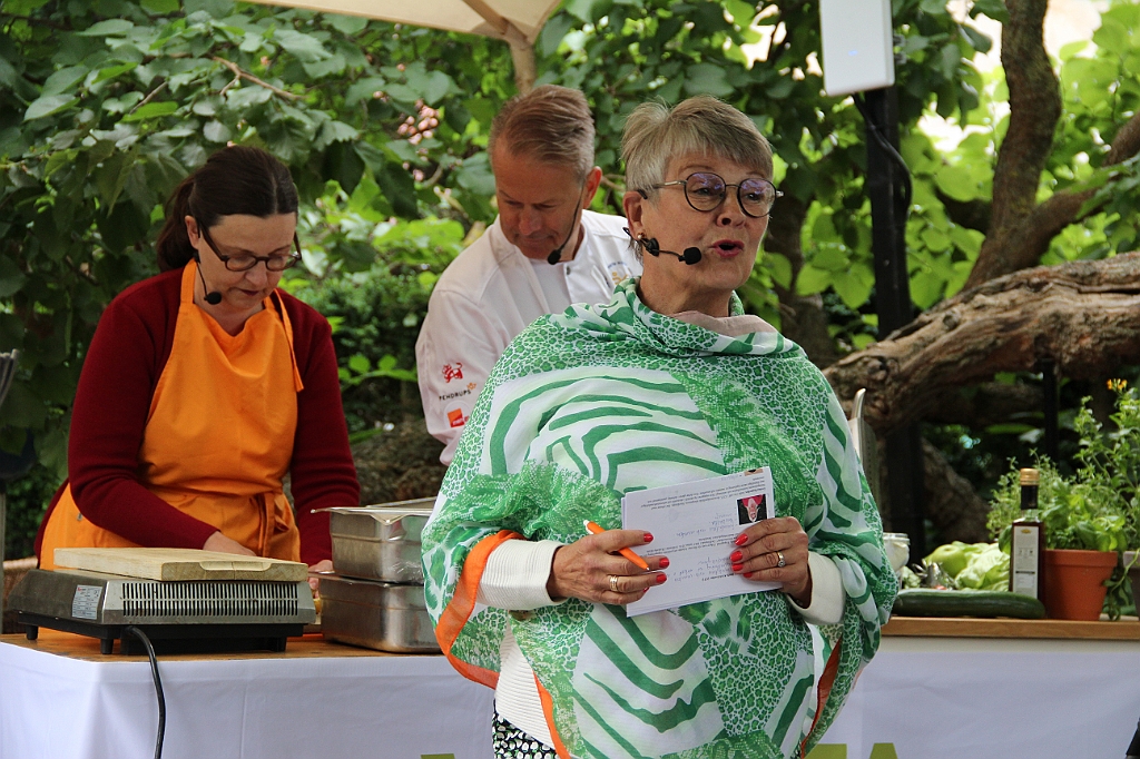 Almedalen2019-131